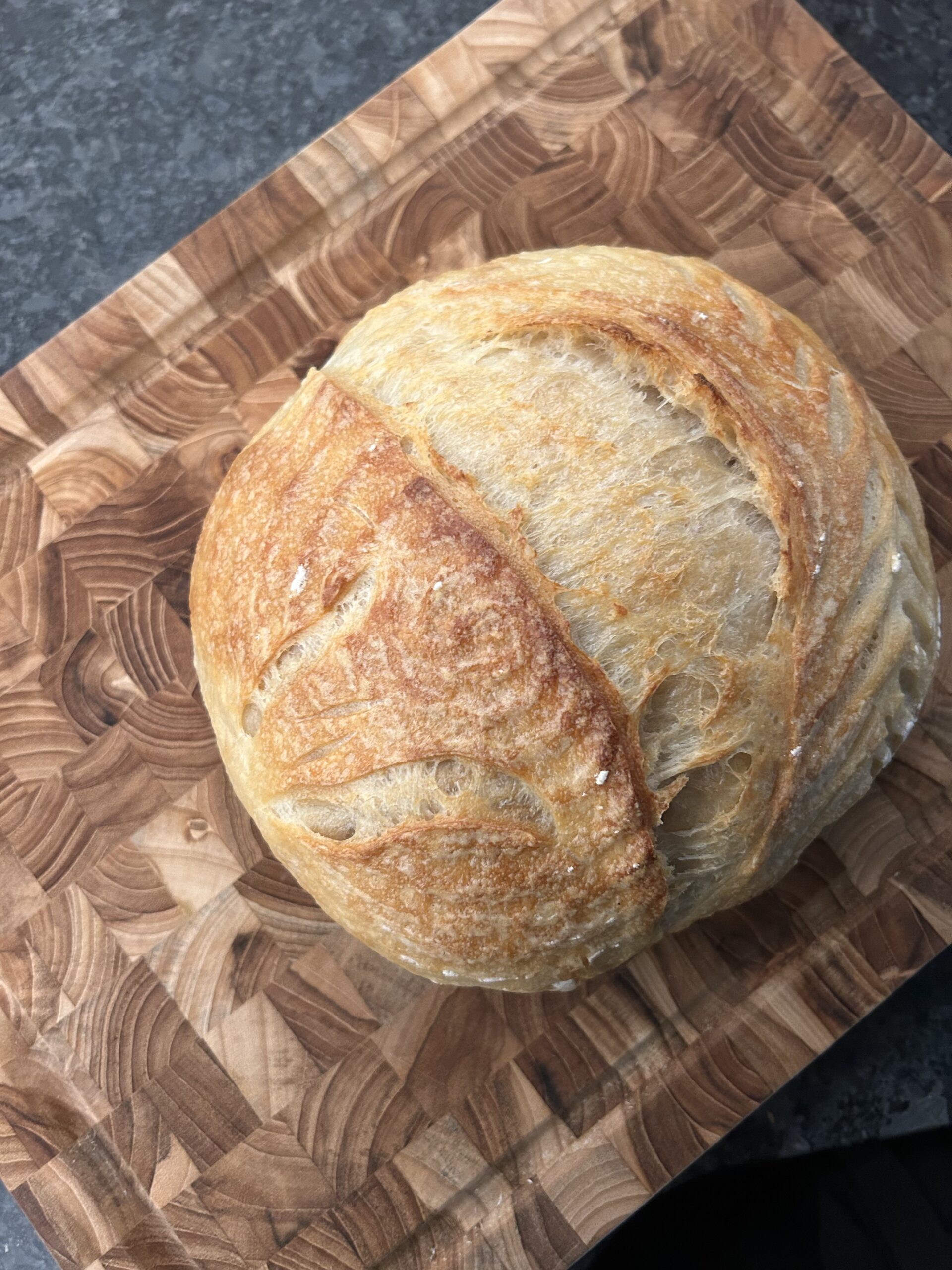Rapidough – Sourdough Bread